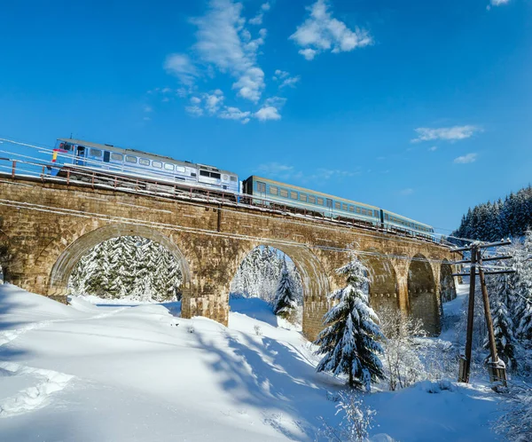 Stone Viaduct Arch Bridge Railway Mountain Snowy Fir Forest Snow — Stock Photo, Image