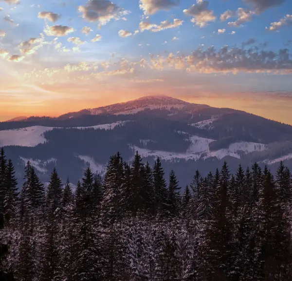 从前面的山村和冷杉林可以俯瞰冬日落日的高山美景 风景秀丽的季节 自然和乡村美景概念风景 — 图库照片
