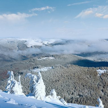 dağ manzarası ile yamaç önünde karlı ağaçların kış