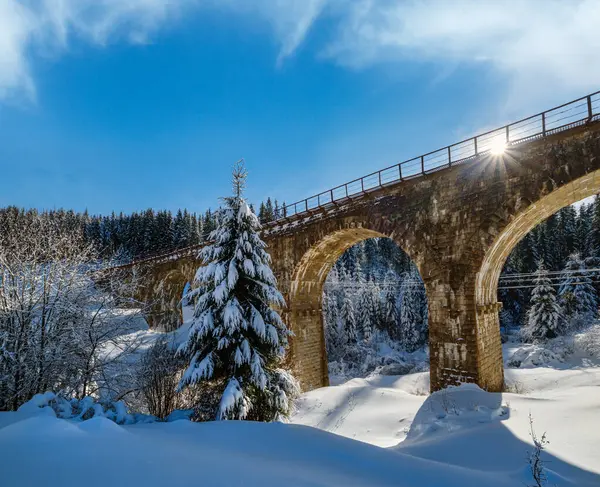 Stone Viaduct Arch Bridge Railway Mountain Snowy Fir Forest Snow — Stock Photo, Image