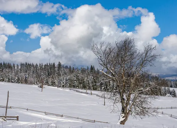 Zimowe Odległe Górskie Peryferie Wsi Wzgórza Wiejskie Gaje Pola Uprawne — Zdjęcie stockowe