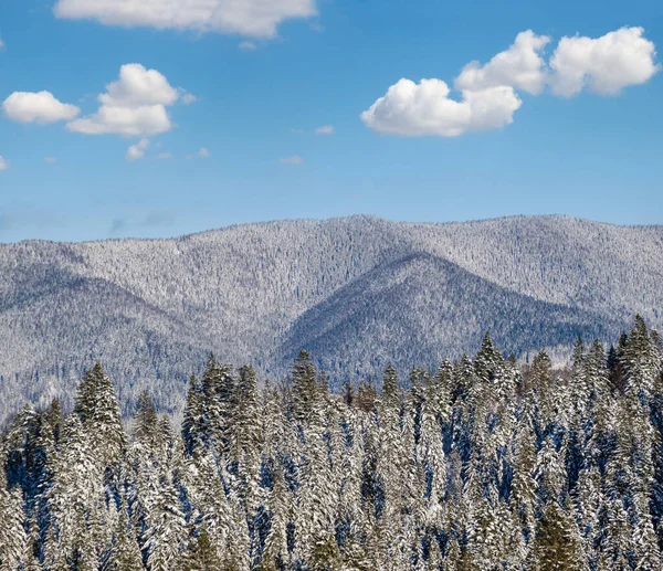 冬季高山 从山村俯瞰冷杉和松树林 风景秀丽的旅游 自然及乡村美景概念背景 — 图库照片