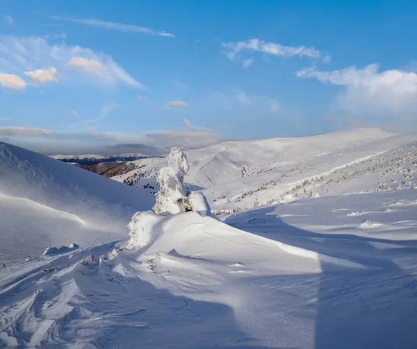 Χιονισμένα Έλατα Χιονισμένο Ορεινό Οροπέδιο Κορυφές Χιονισμένες Στροφές Απόσταση Υπέροχη — Φωτογραφία Αρχείου