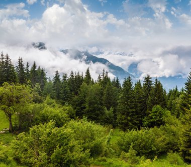 Mont blanc Dağı massif (chamonix valley, Fransa, görünümden plaine joux ilçe sınırı).