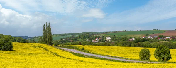 道路春の菜の花黄色のフィールドパノラマビューを介して 太陽の光で雲と青空 自然の季節 田舎の美しさの概念 — ストック写真