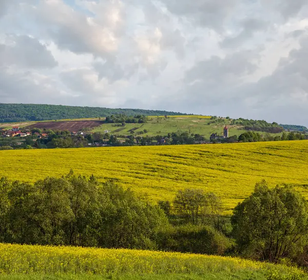 Voorjaar Uitzicht Het Platteland Met Koolzaad Gele Bloeiende Velden Bossen — Stockfoto