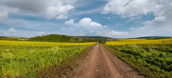 Spring Countryside View Dirty Road Rapeseed Yellow Blooming Fields Village — Stock Photo, Image