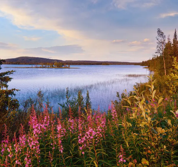 Lac Vue Été Avec Des Fleurs Roses Avant Suède — Photo