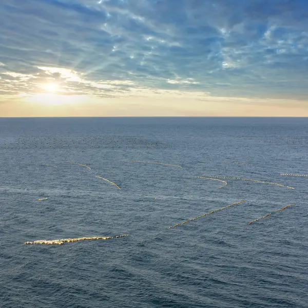 青い海の水の表面上の捜査網のブイ — ストック写真