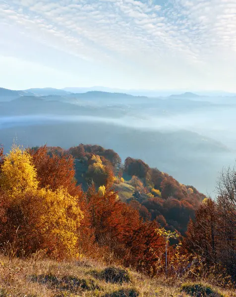 Ochtend Mist Herfst Karpaten Berglandschap Met Kleurrijke Bomen Helling — Stockfoto