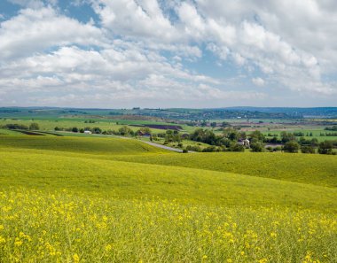 Bahar akşamı manzarası, güneş ışığında açan sarı kolza tohumu tarlaları ve bulut gölgeleri. Doğal mevsim, iyi hava, iklim, eko, tarım, kırsal güzellik kavramı.