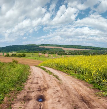 Kirli yollu bahar kırsal manzarası, kolza sarısı çiçekli tarlalar, köy, tepeler. Ukrayna, Lviv Bölgesi.