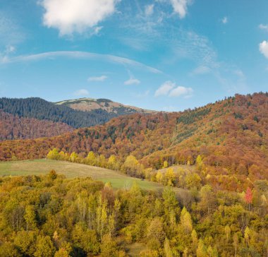 Sonbahar sabahı Karpat Dağları sakin resim sahnesi, Ukrayna. Huzurlu seyahat, mevsimlik, doğa ve kırsal güzellik konsepti.