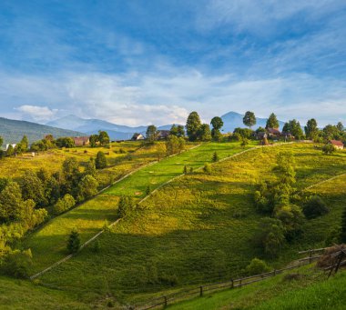 Resimli yaz Karpat Dağları kırsal manzarası, Ukrayna