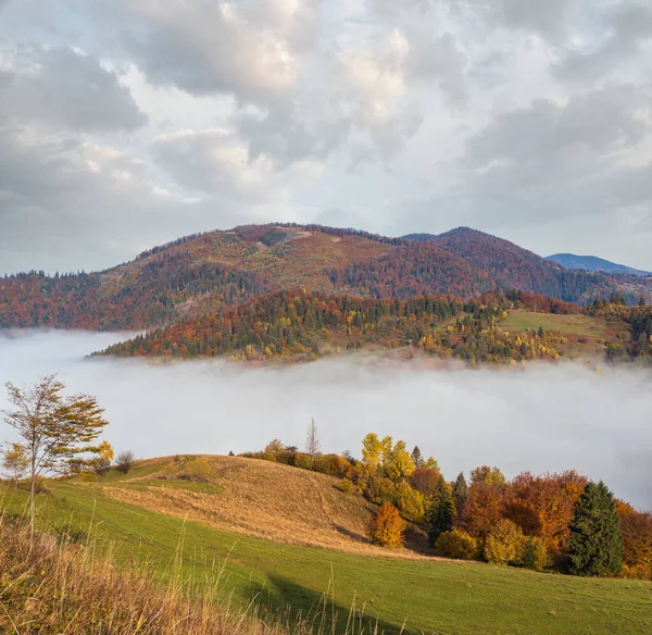 Morning foggy clouds in autumn mountain countryside. Ukraine, Carpathian Mountains, Transcarpathia. Peaceful picturesque traveling, seasonal, nature and countryside beauty concept scene.
