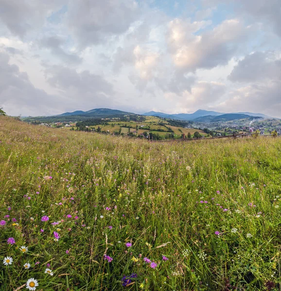 Resimli Bir Yaz Karpatlar Dağlık Kırsal Otlakları Bol Bitki Örtüsü — Stok fotoğraf