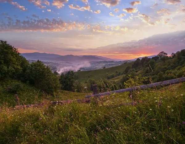 美丽的夏季喀尔巴阡山乡村草甸 繁茂的植被和美丽的野花 — 图库照片