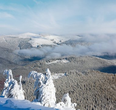dağ manzarası ile yamaç önünde karlı ağaçların kış
