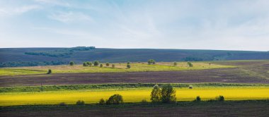 İlkbahar kırsal manzarası kolza ait sarı çiçek açan tarlalar, bahçeler, tepeler. Ukrayna, Lviv Bölgesi.