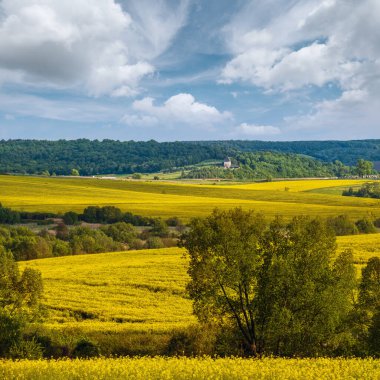 İlkbahar kırsal manzarası kolza ait sarı çiçek açan tarlalar, bahçeler, tepeler. Ukrayna, Lviv Bölgesi.