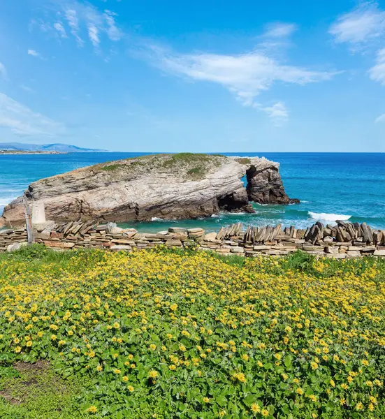 Blühende Sommerlandschaft Der Kantabrischen Küste Wie Catedrais Strand Lugo Galicien — Stockfoto