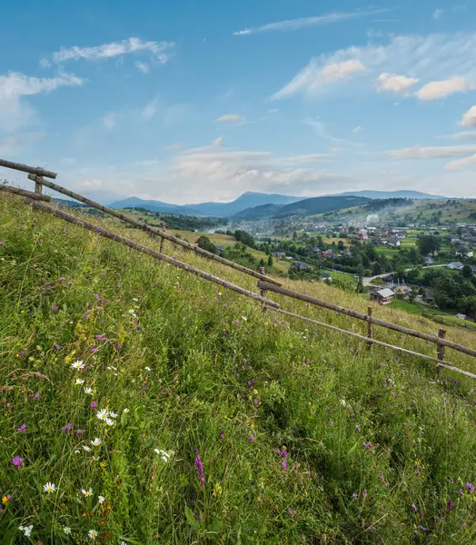 Picturesque Summer Carpathian Mountain Countryside Meadows Abundance Vegetation Beautiful Wild — Stock Photo, Image