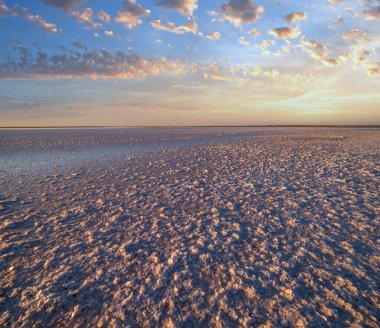 Genichesk Pembesi üzerinde gün batımı son derece tuzlu göl (kristal tuz kalıntılarıyla mikro algler tarafından renklendirilmiş), Ukrayna.