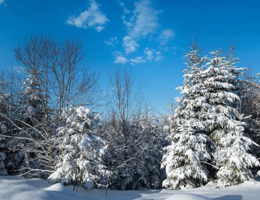 Kış resimli dağlar Yablunytsia geçidi, Karpatlar, Ukrayna manzaralı.