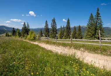 Yaz resimli Gorgany Massiv dağları Sevenei tepesinden (Yablunytsia geçidi yakınları, Karpatlar, Ukrayna.)