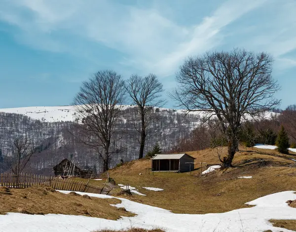 Tidligt Forår Karpaterne Bjerge Plateau Landskab Med Snedækkede Højderyg Toppe - Stock-foto