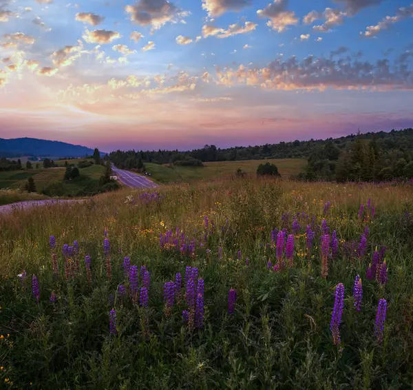 Picturesque Twilight June Carpathian Mountain Countryside Meadows Highway Far Abundance — Stock Photo, Image