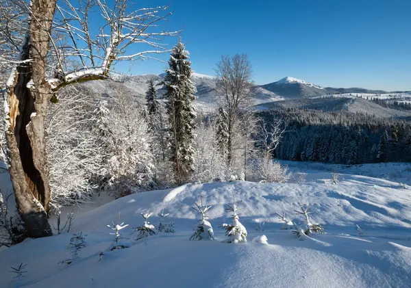Зимний Живописный Горганский Массив Вид Горы Перевала Яблуница Карпаты Украина — стоковое фото