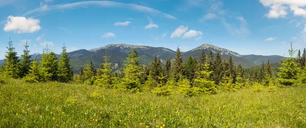 Summer Picturesque Gorgany Massiv Mountains Scenery View Sevenei Hill Yablunytsia — Stock Photo, Image