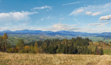güzel bir sonbahar sabahı yakınındaki Karpat Köyü ilçe sınırı (Karpat dağ, Ukrayna).