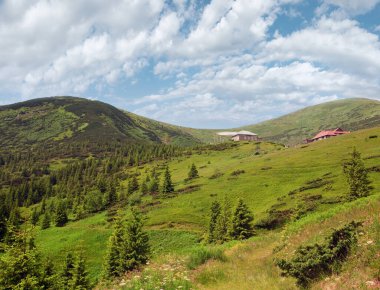 çiçek ve biraz kar (Hava ve biyolojik istasyon binaları chornogora ridge, Karpat, Ukrayna ile dağın üzerinde yaz Dağ Manzaralı)