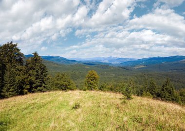 Yaz dağ glade görünümü (Karpat, Ukrayna)