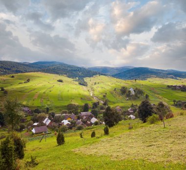 Güzel yaz dağ ve dağ tarafı (Karpat küçükbir köyün. Ukrayna)