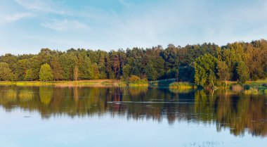Akşam yaz göl manzara bitkilerle su yüzeyi (yakınındaki Shklo yerleşim, Lviv Oblast, Ukrayna) üzerine düşünceler. İki tane dikiş yüksek çözünürlüklü panorama.      