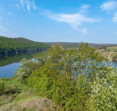 Dnister Nehri Kanyonu 'nun muhteşem bahar manzarası. Resimli kayalar, tarlalar, çiçekler. Shyshkovi Gorby, Nahoriany, Chernivtsi bölgesi, Ukrayna.