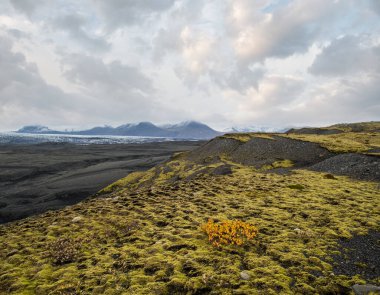 İzlanda sonbahar tundrası Haolkvisl buzulu, İzlanda yakınlarında. Buzul dili, buzul altı Esjufjoll volkanı yakınlarındaki Vatnajokull buzulundan veya Vatna Buzulu 'ndan kayar. İzlanda Çevre Yolu 'na yakın..