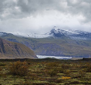 İzlanda sonbahar tundrası Haolkvisl buzulu, İzlanda yakınlarında. Buzul dili, buzul altı Esjufjoll volkanı yakınlarındaki Vatnajokull buzulundan veya Vatna Buzulu 'ndan kayar. İzlanda Çevre Yolu 'na yakın..