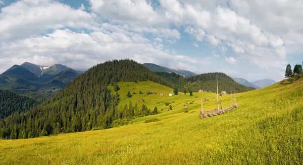 Summer mountain blossoming green meadow with farmhouse (Carpathian, Ukraine)