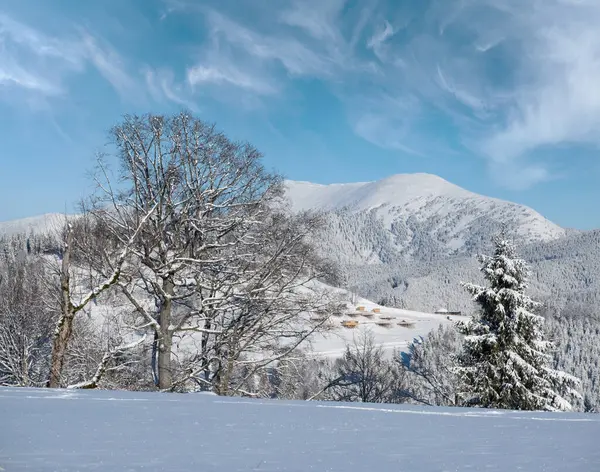 冬の絵画 ゴーガニー大規模な山脈の景色 ヤムニャツィアパス カルパティアン ウクライナ — ストック写真