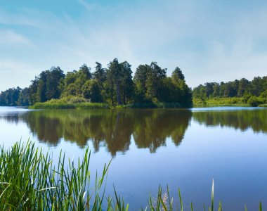Kıyıda küçük bir korulukla birlikte yaz sıcağı sıcağına göl manzarası