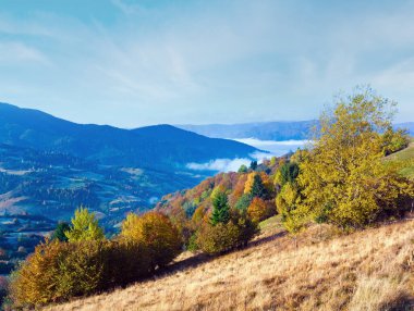 güneşli sonbahar dağ orman dağın (Karpat, Ukrayna)