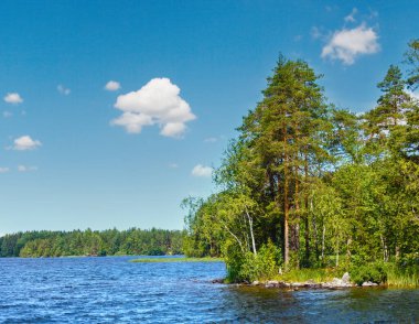 Lake ruotsalainen yaz görünümü (yakın, hevossaari, Finlandiya).
