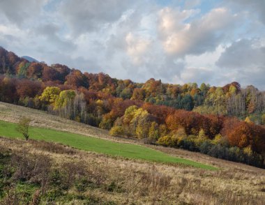 Bulutlu sonbahar sabahı dağ manzarası. Huzurlu manzaralı seyahat, mevsimsel, doğa ve kırsal güzellik konsepti.