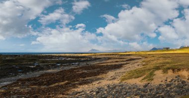 Batı İzlanda Highlands, Snaefellsnes yarımadası, Snaefellsjokull Ulusal Parkı 'ndaki otomobil gezisine bakın. Dağlarla, kraterlerle, kayalık okyanus kıyılarıyla muhteşem volkanik tundra manzarası.