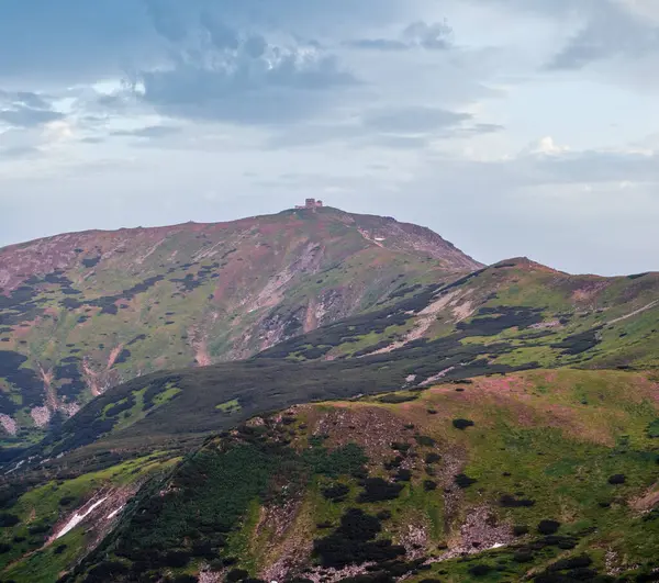 山頂の展望台の遺跡とピップ イワンのミサ 夏の山の斜面にピンクのシャクナゲの花 カルパティア チョルノホラ ウクライナ — ストック写真