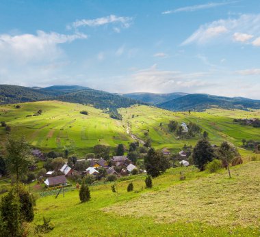 Güzel yaz dağ ve dağ tarafı (Karpat küçükbir köyün. Ukrayna)